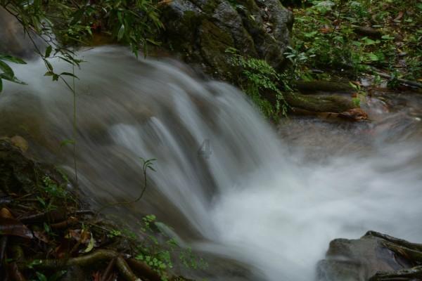 衡水男子坐电梯开门瞬间遭狗头怼脸，带狗坐电梯的时候要注意什么？游戏画面